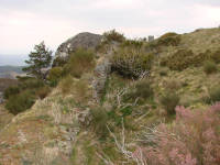 Foto 3 castelo