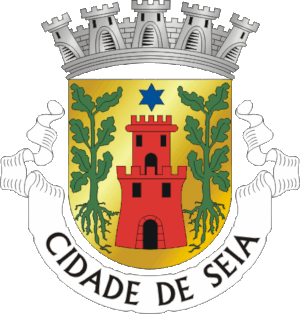 Brasão de Seia 