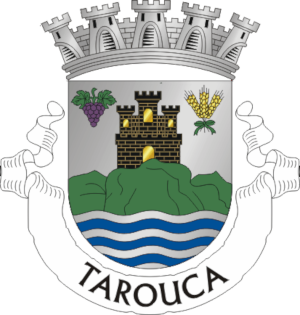 Brasão de Tarouca