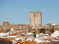 Foto 1 castelo