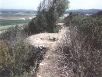 Foto 2 castelo